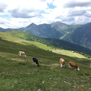 Alpu skaistums