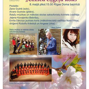 Charity concert, May 2016