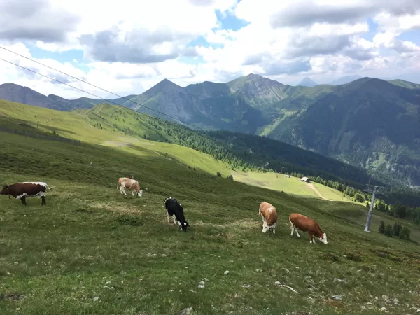 Alpu skaistums